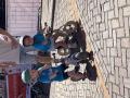 41_IMG_8487.JPG,2026-06-24